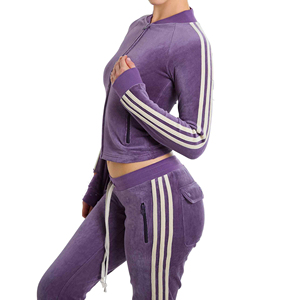 Ensemble de survêtement en velours à capuche pour femme, personnalisé 2026, hiver, décontracté, uni, avec bande latérale, veste zippée en velours et pantalon de jogging, deux pièces - Product Image 2