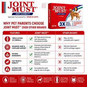 Best Quality Joint Must Pet Joint Supplement Tablets Essential Nutrients for Dogs Cats Joint Health Mobility Support Sale - Product Image 4