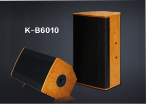 Haut-parleur de karaoké passif double 10 pouces 1000W 250W RMS 112dB Sens. Haut-parleur 90x50 8 Ohm avec boîtier en MDF de 15 mm pour scène de club KTV - Product Image 4