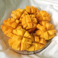 [Hete Zomer 2025] Verse Mango Van Hoge Kwaliteit-Natuurlijk Zoet En Vers 100% Tropisch Fruit Uit Vietnam Voor Zomerfruit