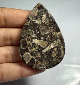 Lot en gros d'agates cabochons TURRITELLA au poids, avec différentes formes et tailles, utilisées pour la fabrication de bijoux, pierre TURRITELLA - Product Image 2