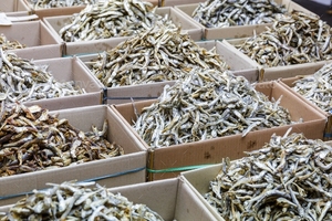 Anchois séchés pour le kimchi et la cuisine coréenne, fournisseur en gros - Product Image 6