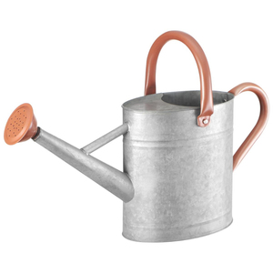 Arrosoir en acier galvanisé de qualité supérieure, pot à eau en métal avec deux poignées pour plantes d'intérieur et d'extérieur, meilleur prix - Product Image 5