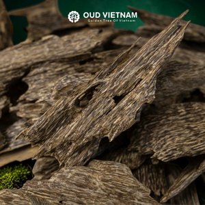 น้ำหอมดับกลิ่น DOUBLE SUPER ANT OUD WOOD VIETNAM SWEET OIL LUXURY FRAGRANCE AOW1 คุณภาพสูง บัคฮูร์ ธูปหอม อัตตาร์ อควาลารีอา ป้องกันกลิ่นไม่พึงประสงค์ - Product Image 2