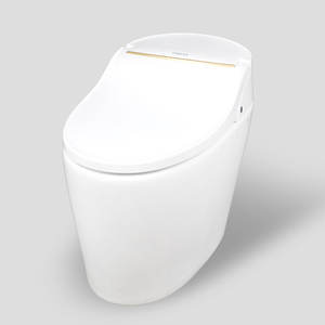 TREVI TST-DX5R00SS_D1 Toilette intelligente à chasse automatique avec télécommande, style de vie coréen, salle de bain familiale, hygiénique, écologique - Product Image 1