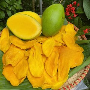 Tranches de mangue séchées en gros, haute qualité, fruits tropicaux du Vietnam, OEM, marque privée, mangue emballée sous vide, fournisseur mondial - Product Image 2