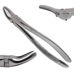 Instruments chirurgicaux dentaires réutilisables de haute qualité, forceps d'extraction des molaires supérieures à manche droit, manuel, double face, Shuja Surgico - Product Image 4