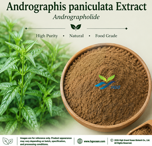 HGO, suministro directo de fábrica, extracto de Andrographis paniculata Natural (grado alimenticio), Andrographolide 20% (extracto estandarizado) - Product Image 1