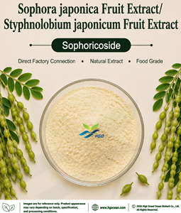 HGO Suministro directo de fábrica Extracto de fruta Sophora japonica/Extracto de fruta Styphnolobium japonicum-Sophoricoside 10% - 98% - Product Image 1