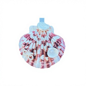 Seashell Hair Clip Coastal Boho Handmade Seashell Hair Clip with <b>Crab</b> Claw Detail Perfect Summer Hair Accessory for Women - Product Image 1