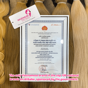 Extensions de cheveux naturels vierges Remy vietnamiens de luxe 2026, couleur blond naturel, à bandes adhésives - Product Image 6