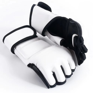 Guantes de MMA a Precio Económico, MOQ Bajo, Alta Calidad, Servicio OEM Disponible, Precio de Fábrica - Product Image 1