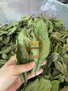 Cantidad a granel de Vietnam, hojas de Guanábana secas a máquina, 500g por bolsa, venta al por mayor para té y productos de salud - Product Image 6