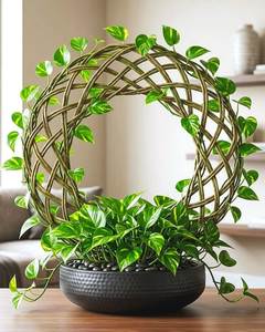Decorative Modern Iron Powder Coated Eco-Friendly Hanging Lightweight Plant <b>Stand</b> with Drainage Hole for Home Decoration - Product Image 5