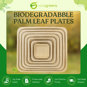 Platos cuadrados de palma de areca de calidad premium, biodegradables, 100% naturales, resistentes a fugas y aptos para microondas, de un mayorista genuino. - Product Image 3