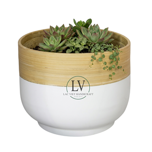 Scandinavian Style Spun <b>Bamboo</b> <b>Planter</b> Natural Small Indoor Flower <b>Pot</b> Decorative Plant <b>Pot</b> For Table Top Decor Made in Vietnam - Product Image 6