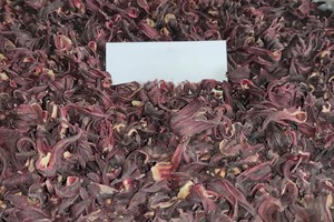 Thé aux feuilles d'hibiscus sauvage 99% pur, qualité alimentaire, emballé sous vide - Product Image 5
