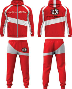 Ensemble de survêtement personnalisé avec logo d'entreprise, taille plus, sweat-shirt court à capuche surdimensionné, pantalon large, ensemble 2 pièces, survêtement brodé délavé - Product Image 5