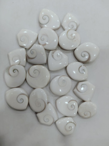 Gran oferta, de ojo de Shiva cabujón, mezcla de formas y tamaños, piedras preciosas sueltas de ojo de Shiva para hacer joyas, fabricación hecha a mano, calidad Natural - Product Image 3