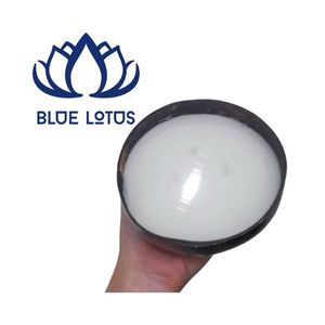 Bougie en cire de soja de haute qualité, écologique, dans un bocal en coquille de noix de coco, parfum longue durée, vente en gros, directement de l'usine - Product Image 1