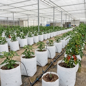 Wholesale Extra Washed 100% Natural Organic Coco Peat Hydroponic Reusable Mushroom Grow 5Kg Block Plastic Grow Bag - Product Image 3