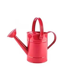 Arrosoir en métal polyvalent, outil d'arrosage de jardin pour fleurs, herbes et plantes - Product Image 4