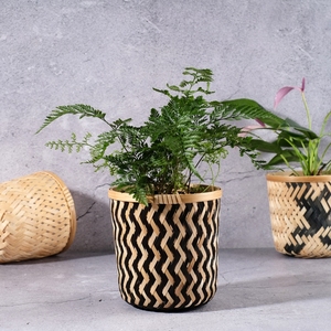 Productos de cesta de bambú duraderos y hermosos a buenos precios del proveedor Bao Tram Anh - Product Image 3