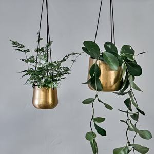 Modern Luxury Gold Metal Cylinder <b>Hanging</b> Planter Nordic Deep Flower Pot Holder With Chain For HomeHotel Wedding Decor Bulk Sale - Product Image 6