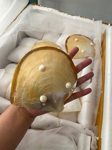 Mother of Pearl Plate Polished <b>Shell</b> Tray Natural Seashell Caviar Plate Handmade Elegant Craft Gift Wholesale Export - Product Image 3