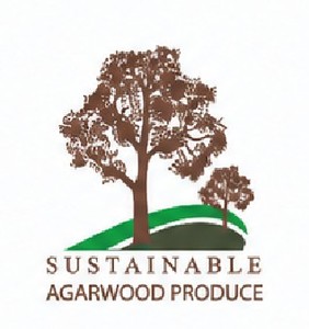 Poudre d'encens d'agarwood pré-mélangée en vrac pour la vente en gros - Product Image 4