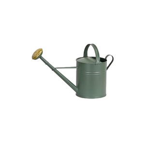 Arrosoir en acier galvanisé vert avec bec en laiton, capacité 10L, style britannique classique, pour plantes de jardin intérieures et extérieures - Product Image 1