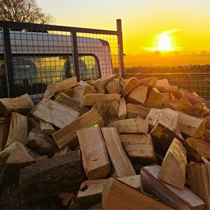 Leños de Leña de Alta Calidad para Estufas de Leña y Chimeneas Abiertas con un Rendimiento de Calor Confiable y un Manejo Conveniente - Product Image 6