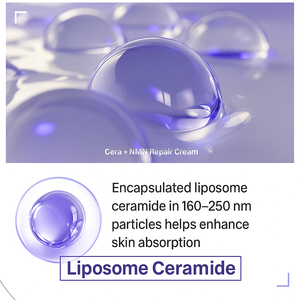 Crème de nuit réparatrice lactée pour la peau, à la céramide, au collagène, à la vitamine B3 et au NMN, pour tous types de peau, OEM, hydratant facial de beauté coréen - Product Image 5