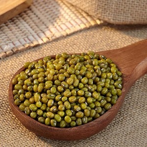 Meilleure Qualité de Haricot Vert Entier Convenctionnel Sabut Moong Séché et Nettoyé pour la Préparation de Dal, Curry et Bouillie – Conditionnement en Vrac 25/50kg - Product Image 2