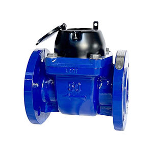 Itron WoltmanタイプフローメーターDN50-DN300バルクフランジエンドOEM ODM対応水 & オイル - Product Image 5