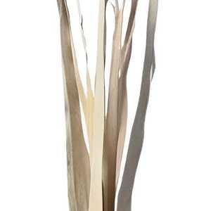 Feuilles de palmier séchées de qualité supérieure, écologiques et durables, pour DIY, mariages, fête des mères, Noël, événements de bureau, fleurs séchées 2025 - Product Image 1