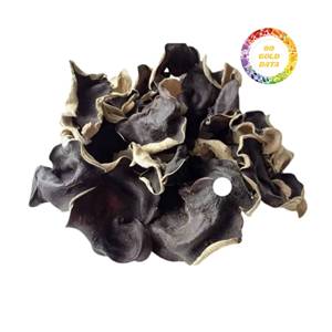 Venta al por mayor de hongos oreja de diablo (kikurage) de Vietnam directamente de fábrica para tiendas minoristas: colección de hongos nutritivos de moda - Product Image 2