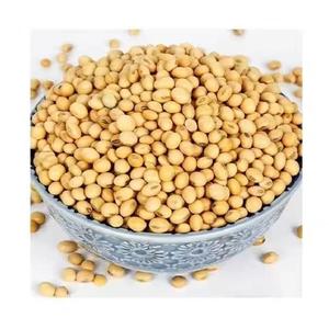 Global Standard Edible <b>Soybeans</b> Ready to Ship - Product Image 1