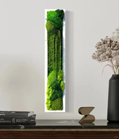 Özel Yapım Stabil Korunmuş Yosun Duvar Panelleri LED Ekran Dikdörtgen Şekil 40x20x10cm Çalı Sanatı Dekorasyonu CN