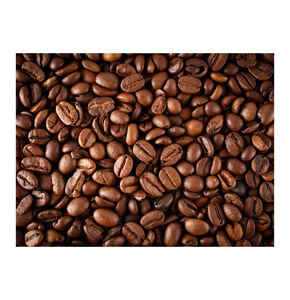 กาแฟเอสเพรสโซ่คุณภาพพรีเมียม ขายส่งจำนวนมาก พร้อมส่ง ขายดีที่สุด ส่งออกต่างประเทศ - Product Image 4