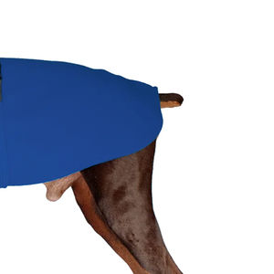 ออกแบบโลโก้ของคุณเอง เสื้อคลุมสุนัขผ้าโพลีเอสเตอร์เนื้อแน่นสำหรับฤดูร้อน หลายสี สไตล์คลาสสิก น้ำหนักเบา กันลม ใช้กลางแจ้งได้ - Product Image 3