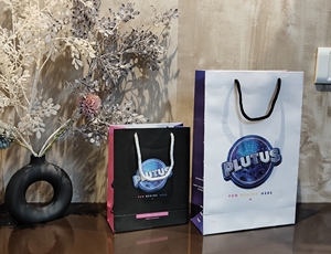 Plutus Custom Printed <b>Paper</b> Gift <b>Bags</b> Cotton Rope Handles Art Glossy Lamination Rectangle Self Adhesive Seal Standard Flat - Product Image 1