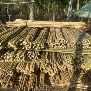Varas de Bambú Natural de Alta Calidad para Paisajismo y Soporte Agrícola con Precios Competitivos Directos de Fábrica - Product Image 1