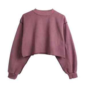 Nouveau sweat à capuche court pour femme, 100 % coton, léger, à manches longues, coupe douce, décontracté, idéal pour les voyages, la gym, le shopping, le bureau et la maison - Product Image 1