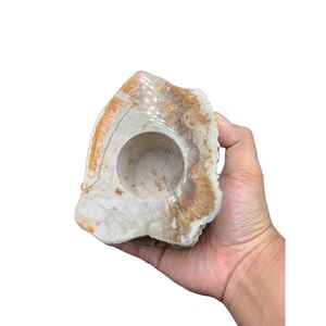 Porte-bougie en bois pétrifié naturel fait à la main, trou unique, décoration de la maison, lanterne à bougie en bois, pot - Product Image 6