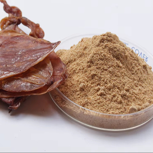 Poudre de Calamar Riche en Protéines 54% Saveur Naturelle de Fruits de Mer pour Nouilles Instantanées et Industrie Alimentaire ANGLE - Product Image 1