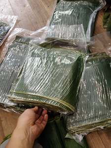 Feuilles de bananier fraîches naturelles du Vietnam, matériau en feuilles vertes pour l'emballage alimentaire, la cuisson à la vapeur, les restaurants, les événements et la vente en gros - Product Image 6