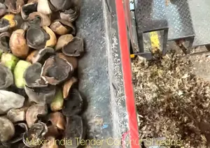 Trituradora de Coco Tierno de Doble Eje Eléctrica Semiautomática de la Mejor Calidad, Máquina Trituradora Orgánica - Product Image 5