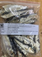 Arenque Seco Bajo en Sal al por Mayor de Vietnam y Filete de Arenque Seco Sin Sal, Suministro a Granel de 10 kg