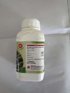 Exportador indio de biofertilizante líquido Nitrobium Rhizobium de liberación controlada para raíces y plantas de legumbres saludables, para exportación. - Product Image 3